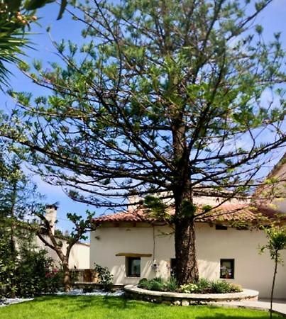 Chorio House Platanias Guest House Vrísai Екстериор снимка