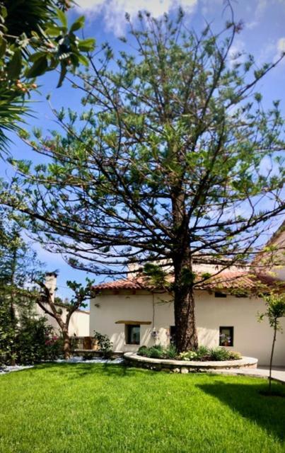 Chorio House Platanias Guest House Vrísai Екстериор снимка